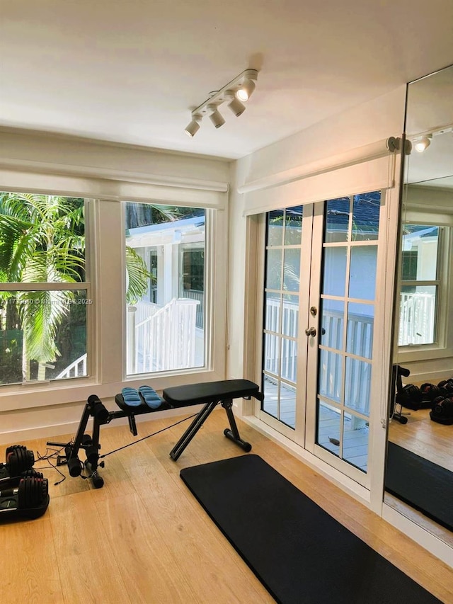 exercise room with wood-type flooring and rail lighting