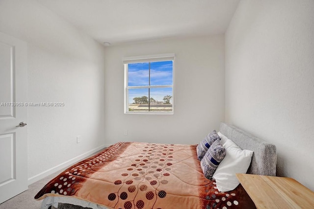 bedroom with carpet flooring