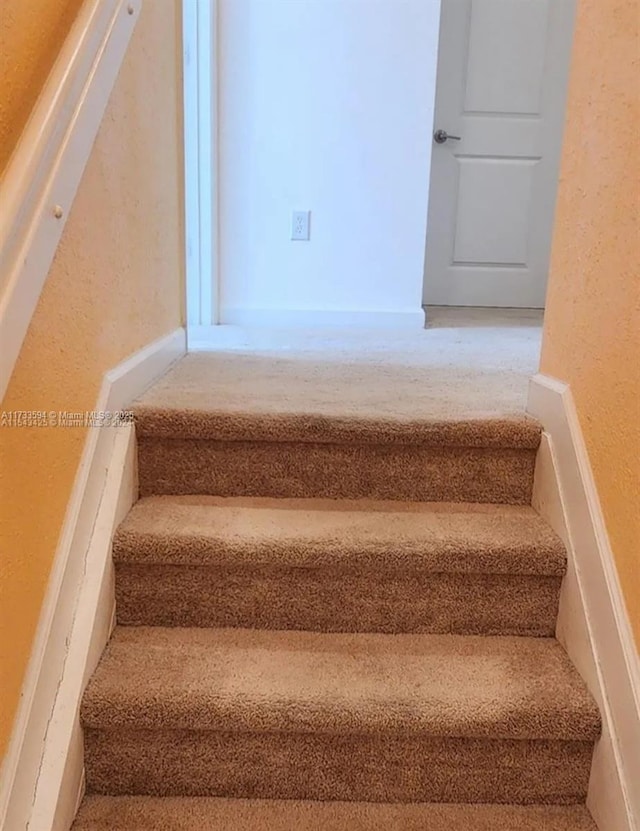 stairway with carpet flooring