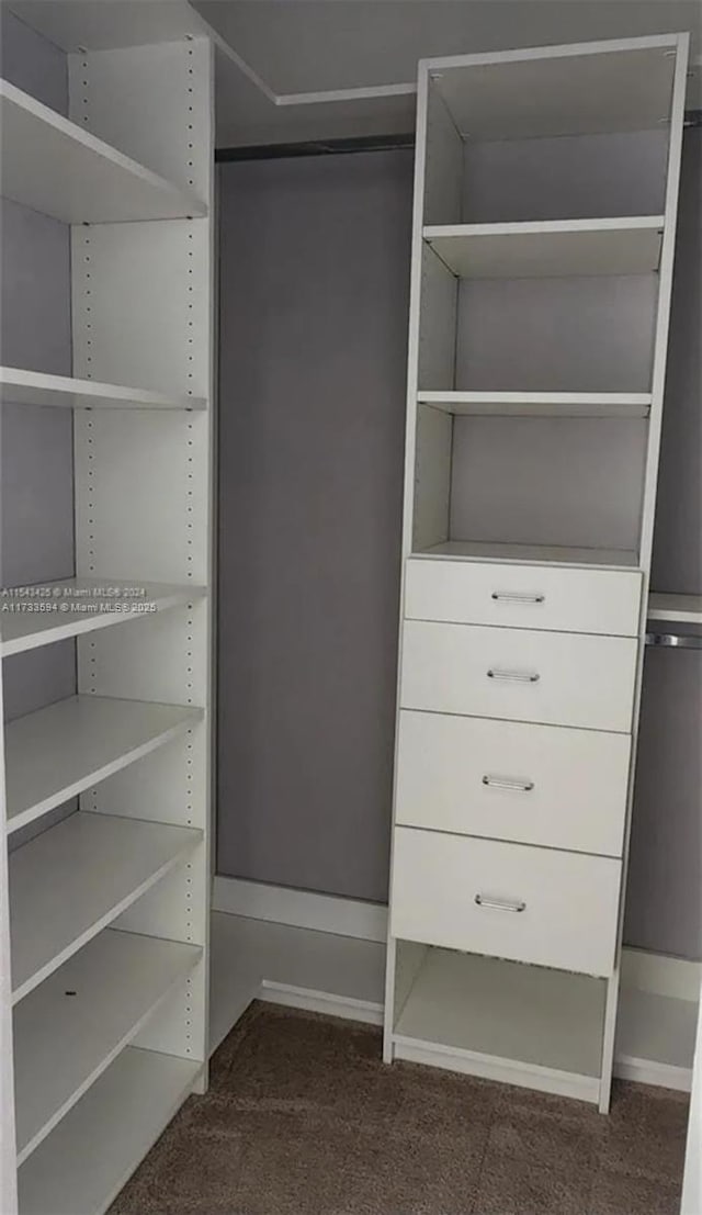 spacious closet with dark carpet