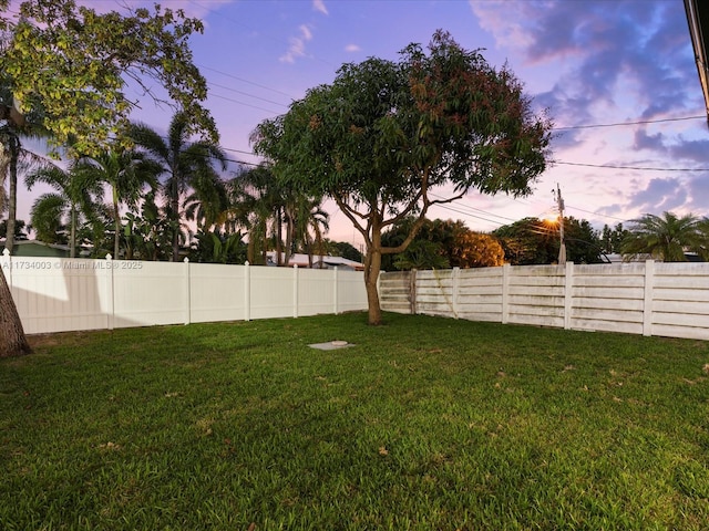 view of yard at dusk