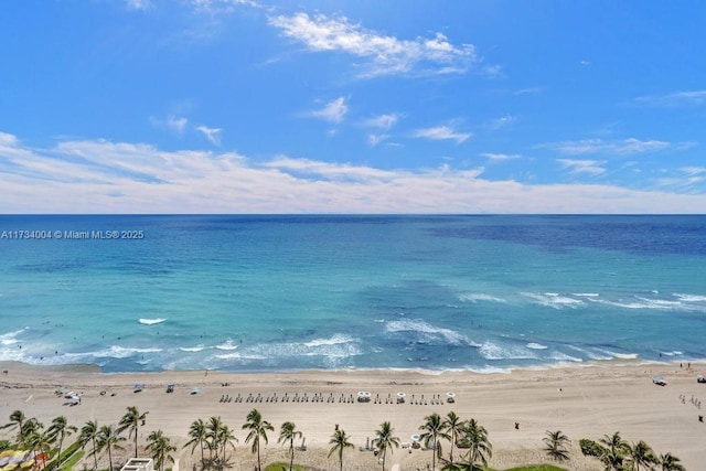 property view of water featuring a beach view