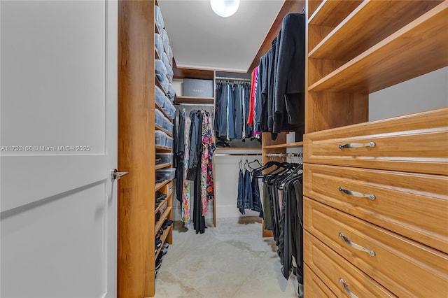 view of spacious closet