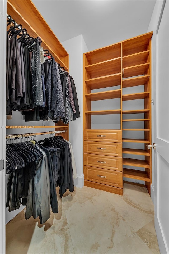 view of spacious closet