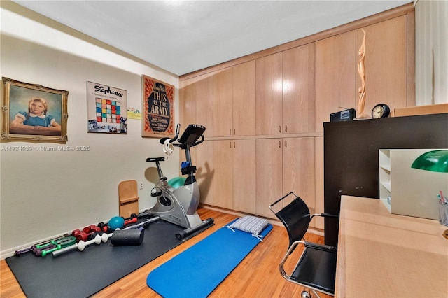 workout room with hardwood / wood-style floors