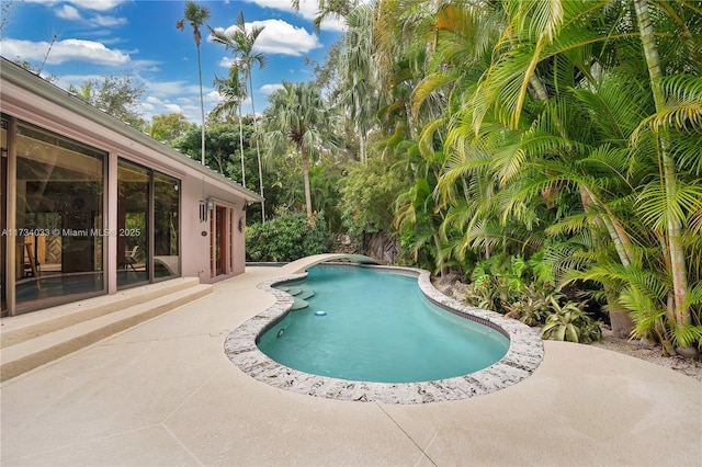 view of pool featuring a patio area