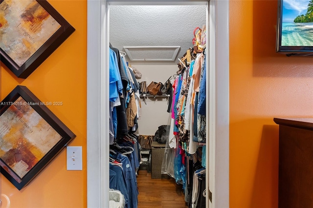 walk in closet with hardwood / wood-style flooring