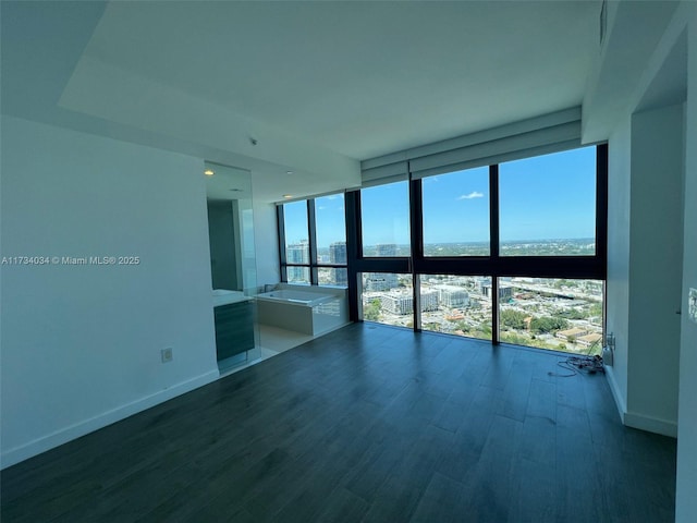 spare room featuring expansive windows