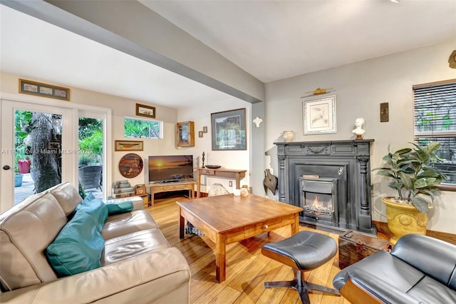 living room featuring light hardwood / wood-style flooring