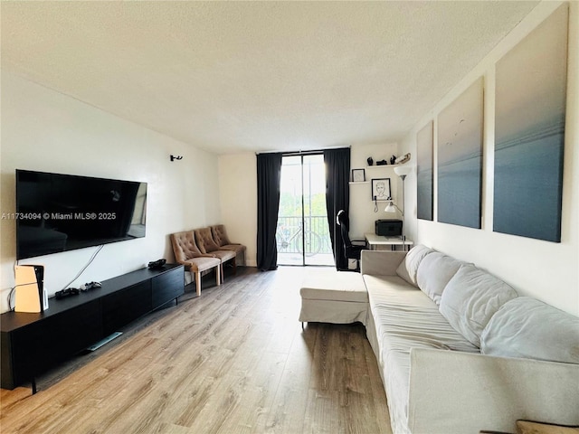 16950 W Dixie Hwy Unit A429, North Miami Beach, FL 33160 - living room with wood finished floors and a textured ceiling