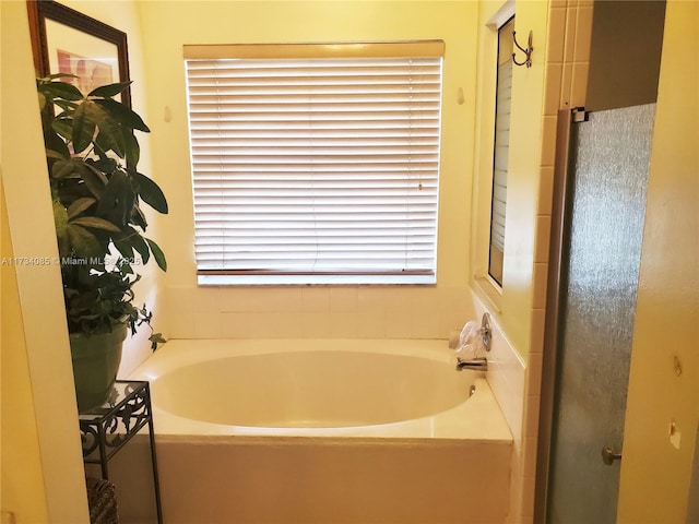 bathroom with a bathing tub