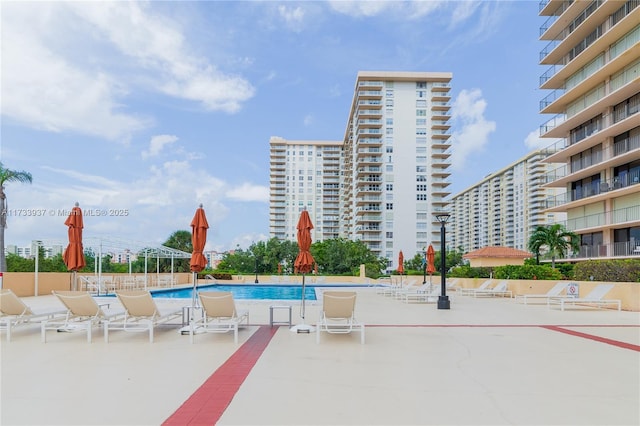 view of swimming pool with a patio area