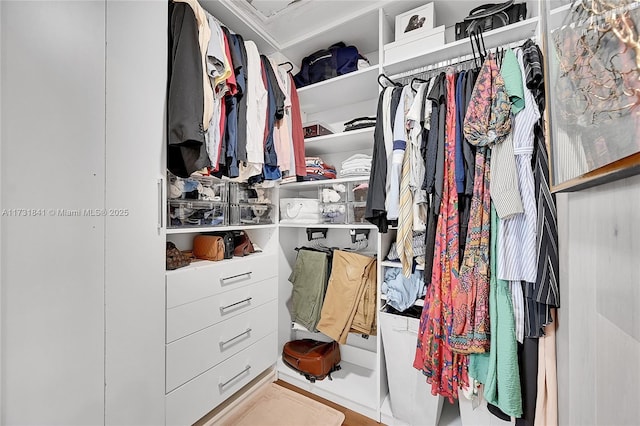 view of spacious closet