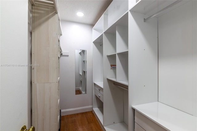 walk in closet featuring dark hardwood / wood-style floors