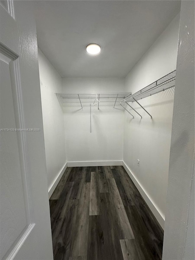 walk in closet with dark hardwood / wood-style flooring