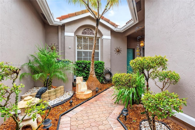 view of exterior entry with a patio area