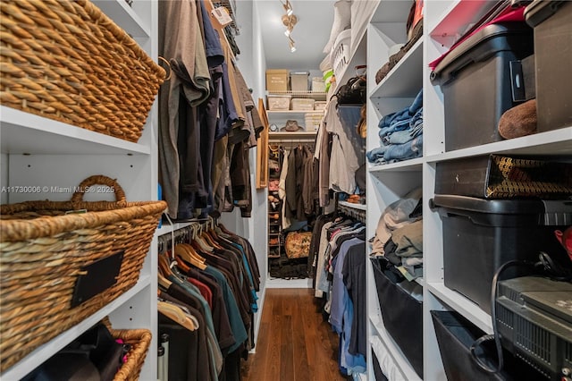 walk in closet featuring dark hardwood / wood-style floors