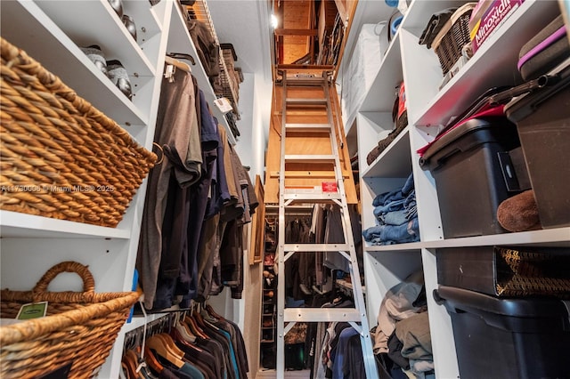 view of walk in closet