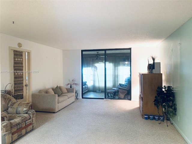 living room featuring carpet and a textured ceiling