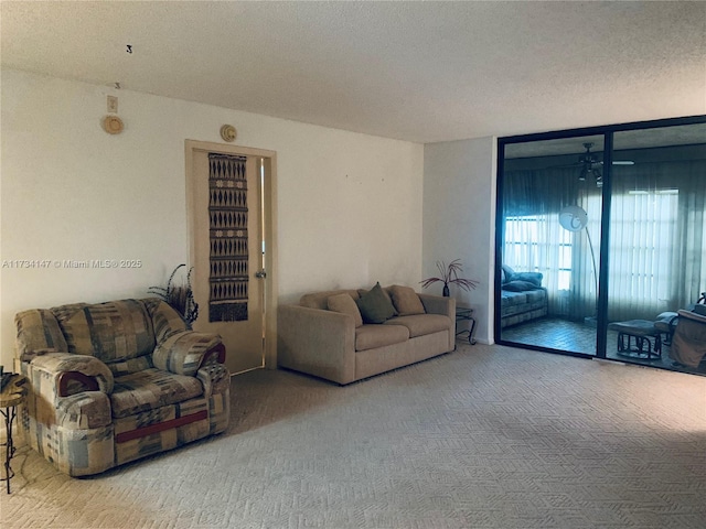 living room featuring carpet flooring and a textured ceiling