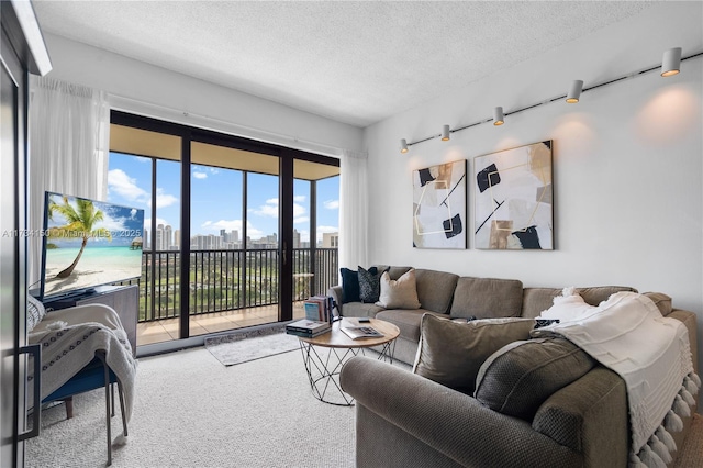 living room featuring carpet floors and a textured ceiling