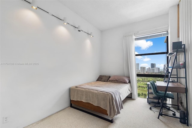 bedroom featuring rail lighting and carpet flooring