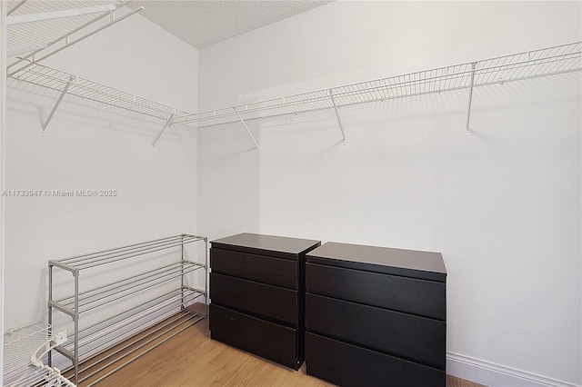 walk in closet featuring light hardwood / wood-style flooring