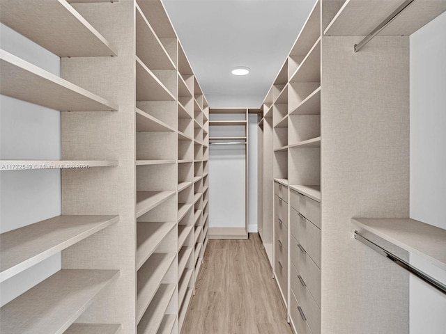 walk in closet featuring light hardwood / wood-style floors