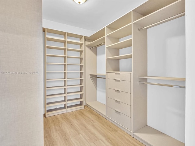 spacious closet with light wood-type flooring