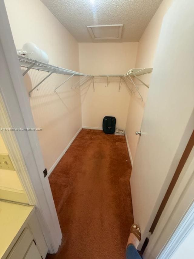 walk in closet with dark carpet