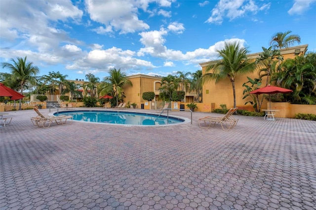 view of pool featuring a patio