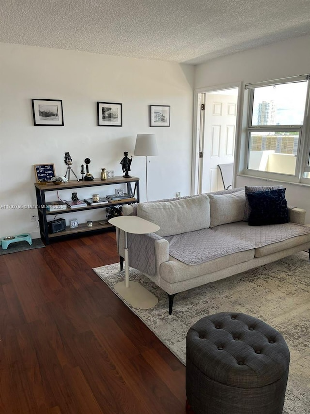 living room featuring wood-type flooring and a textured ceiling