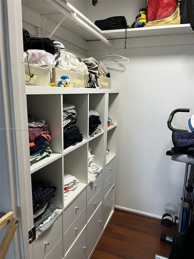 spacious closet with dark wood-type flooring