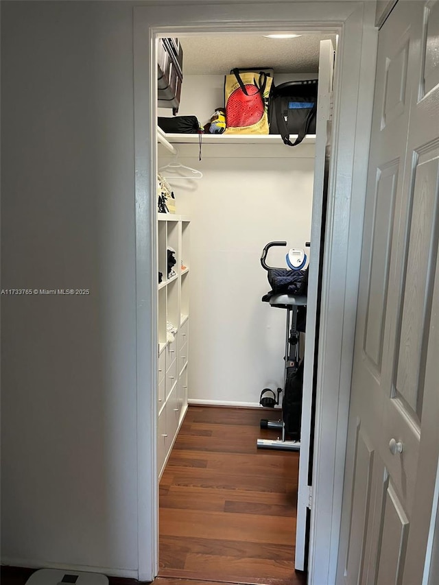 walk in closet featuring dark hardwood / wood-style flooring