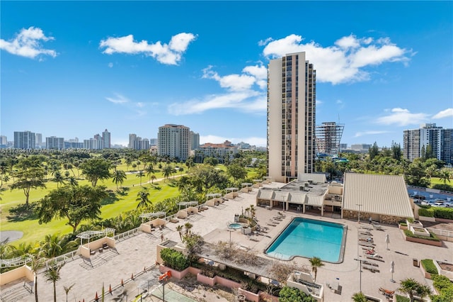 view of pool with a patio