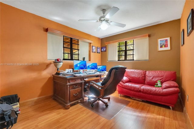 office space featuring ceiling fan and light wood-type flooring