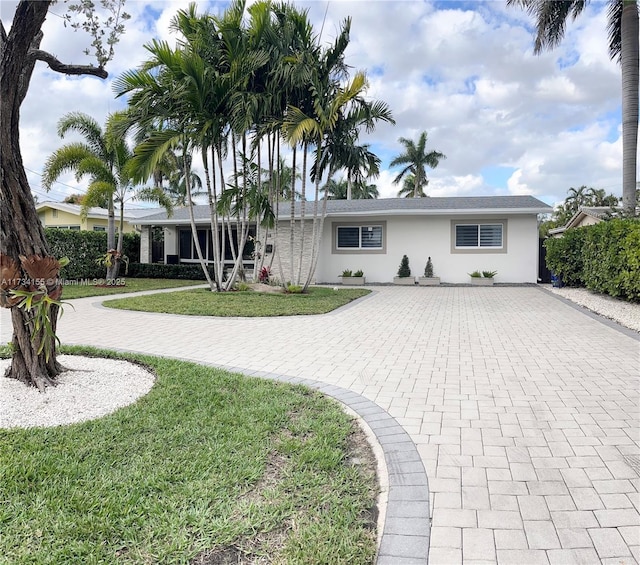 rear view of property with a lawn