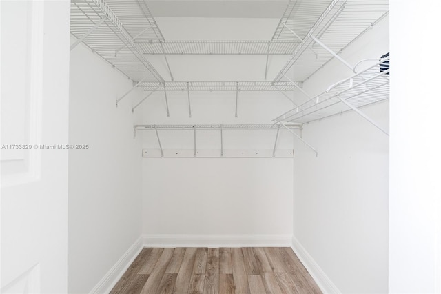 walk in closet featuring hardwood / wood-style floors