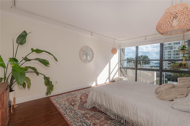 bedroom featuring rail lighting, ornamental molding, and expansive windows