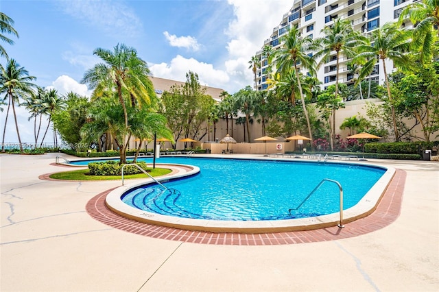 view of swimming pool with a patio