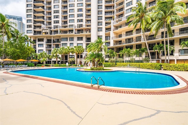 view of swimming pool with a patio area