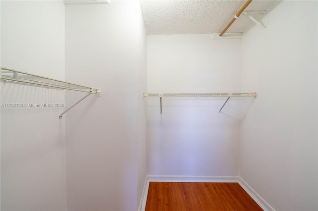 spacious closet with hardwood / wood-style flooring