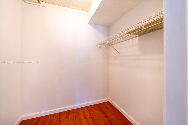 spacious closet with wood-type flooring