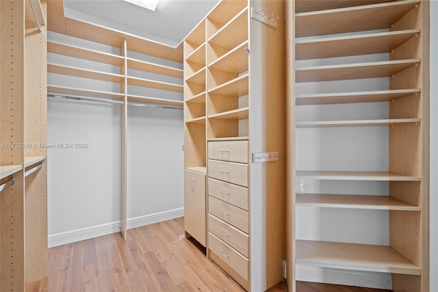 walk in closet with light wood-type flooring