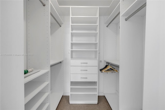 spacious closet with carpet flooring