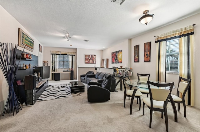 13114 SW 44th St Unit 2204, Miramar, FL 33027 - carpeted living area with plenty of natural light and a textured ceiling