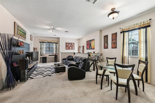 carpeted living room featuring a textured ceiling