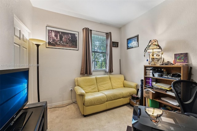 living room featuring light colored carpet