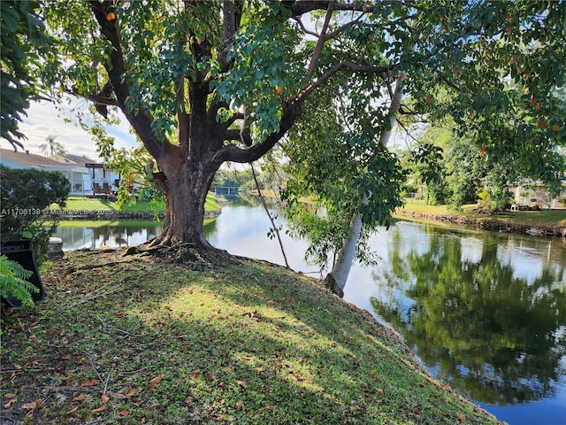 property view of water