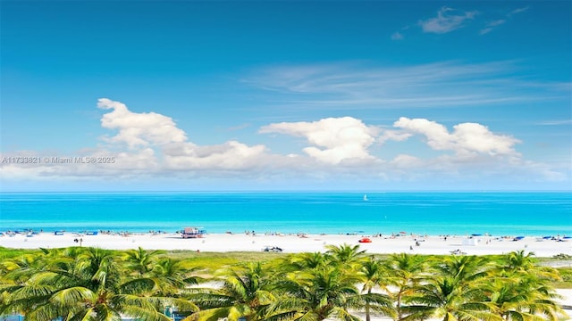 5445 Collins Ave Unit M15, Miami Beach, FL 33140 - water view with a view of the beach